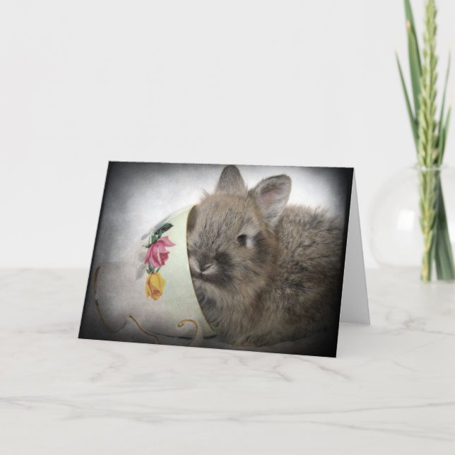 Carte Bunny en tête de lionhead et Teup (Devant)