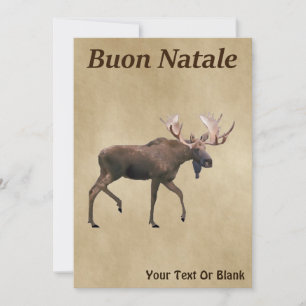 Carte Buon Natale - Bull Moose Sur Ancien Papier