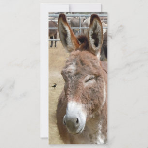 Carte Burro Blushing - Fournitures scolaires Signets pou