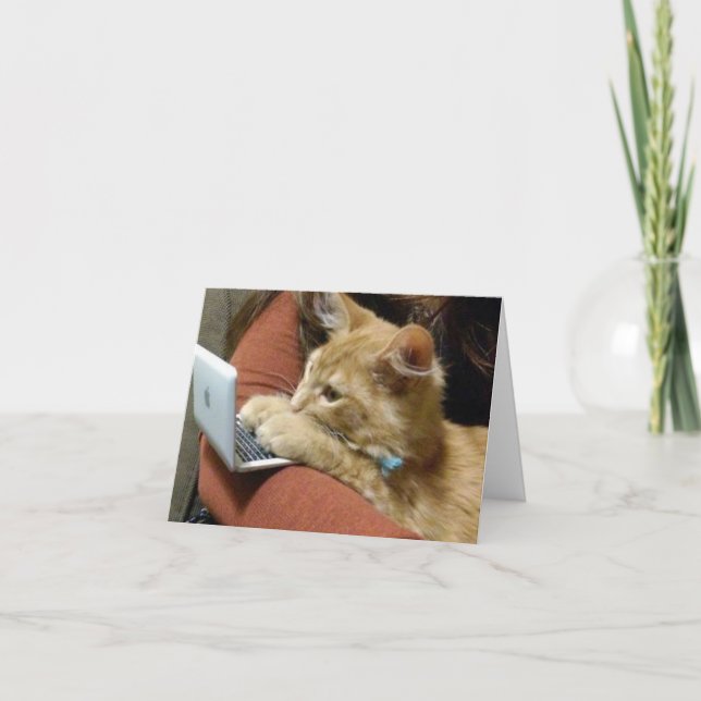 CARTE BUSY KITTY VOUS DIT ***HEUREUX ANNIVERSAIRE** (Devant)