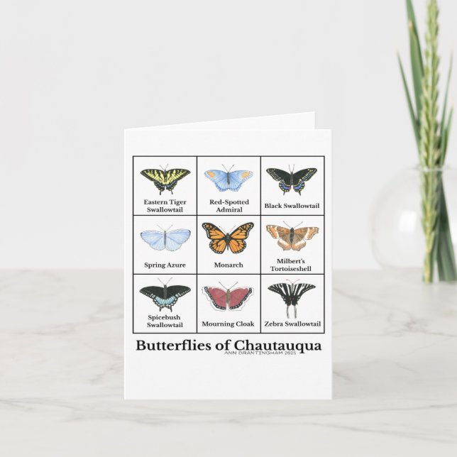 Carte Butterflies of Chautauqua  (Devant)