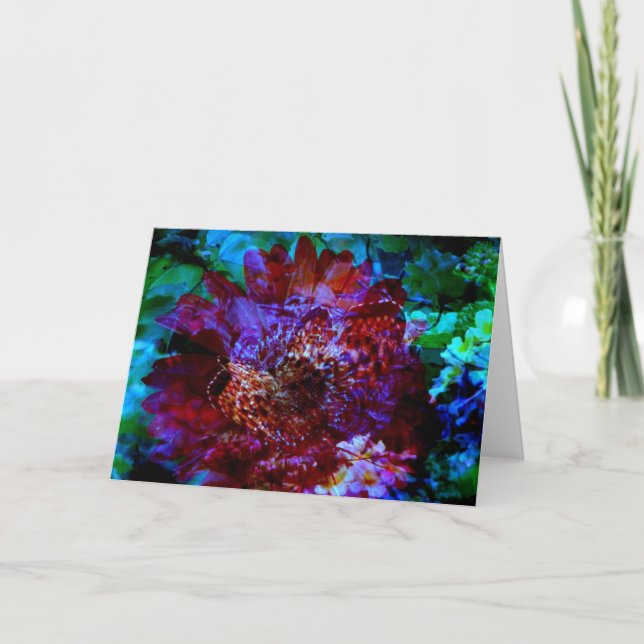 Carte Butterfly (Devant)
