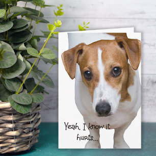 Carte Ça Fait Mal À La Triste Encouragement Du Chien