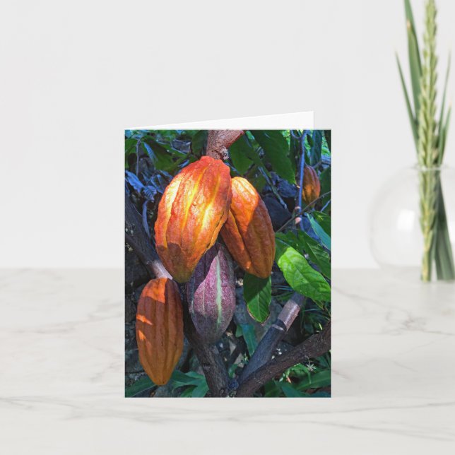 Carte Cacao hawaïen (Devant)