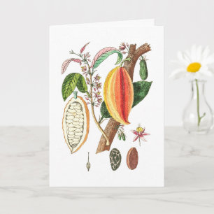 Carte Cacao tiré à la main - Art Vintage