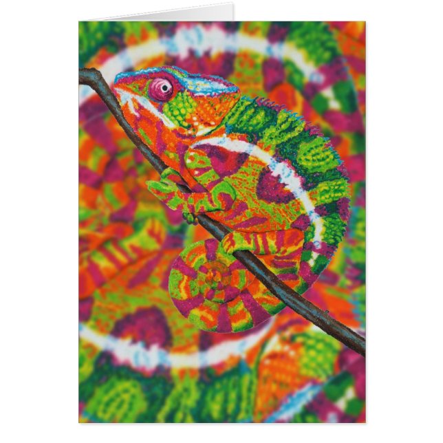 Carte cachée de caméléon (Devant)