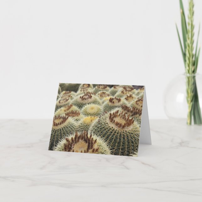 Carte cactus baril (Devant)