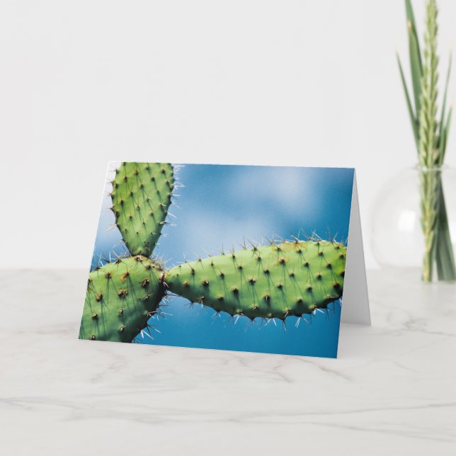 Carte Cactus de Prickley (Devant)