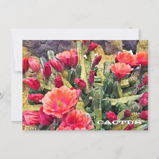 Carte Cactus: Flat Card (Devant)