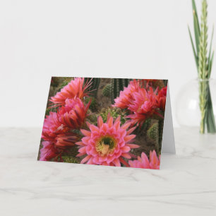 Carte Cactus flower card