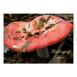Carte cadeau Champignons rouges