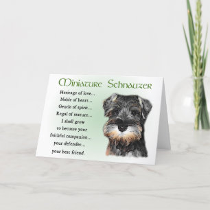 Carte Cadeaux Schnauzer miniatures
