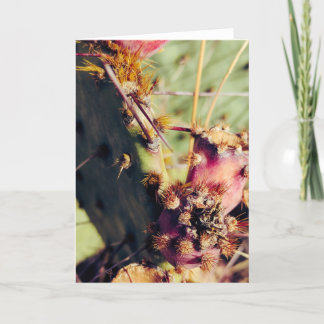 Carte Cadre de titre des textures SW