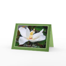 Carte cadre verte Merci Magnolia et abeilles