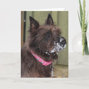Carte Cairn en snow