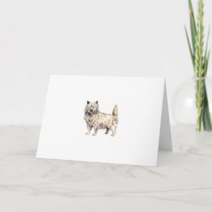 Carte Cairn Terrier