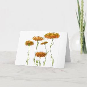 Carte Calendulaire