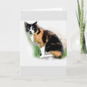 Carte Calico