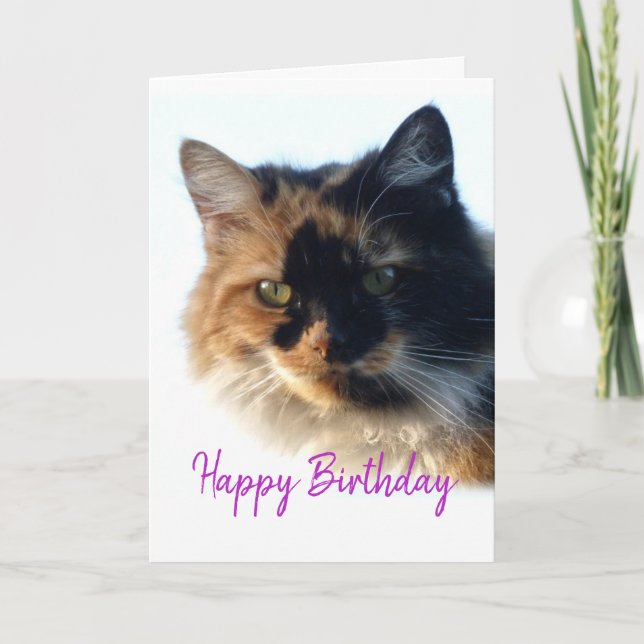 Carte Calico cat Anniversaire (Devant)