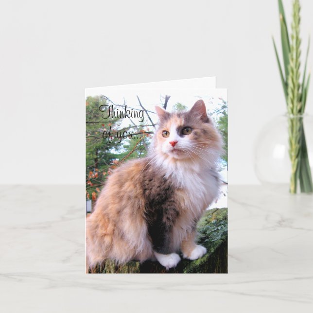Carte Calico Chat Personnalisé Penser De Vous (Devant)