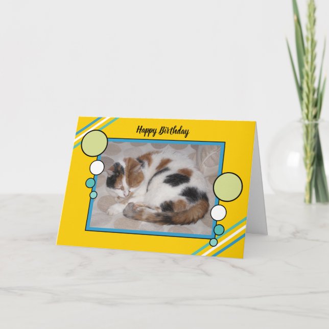 Carte Calico chat recouvert d'une glace (Devant)