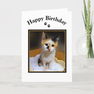 Carte Calico Kitten Joyeux anniversaire