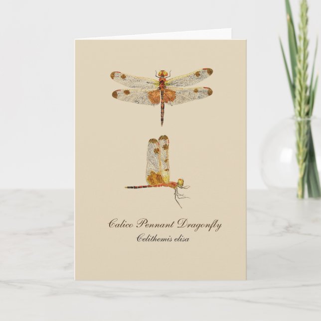 Carte Calico Pennant Dragonfly Grey Card 2 (Devant)