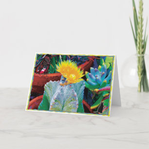 Carte Caliente Cactus