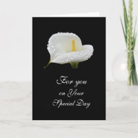 Calla Lilly : Jour spécial