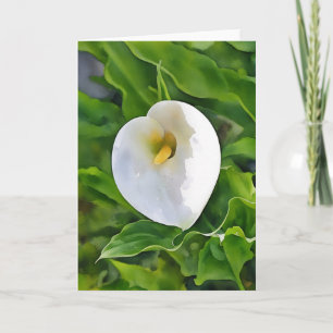 Carte Calla Lily