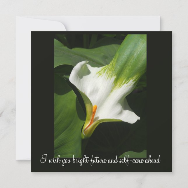 Carte Calla Lily, Zantedeschia (Devant)