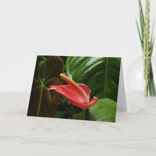 Carte Calla Rose Lily Élégant Floral
