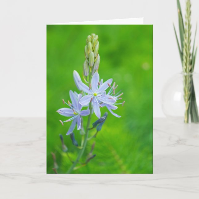 Carte Camas bleu vierge (Devant)
