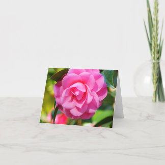 Carte Camélia
