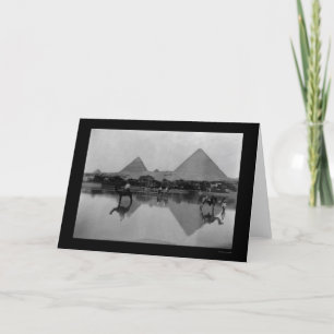 Carte Camels et Pyramides en Egypte 1899