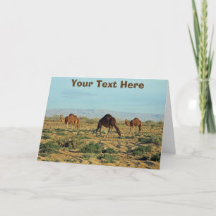 Carte Camels sur mesure