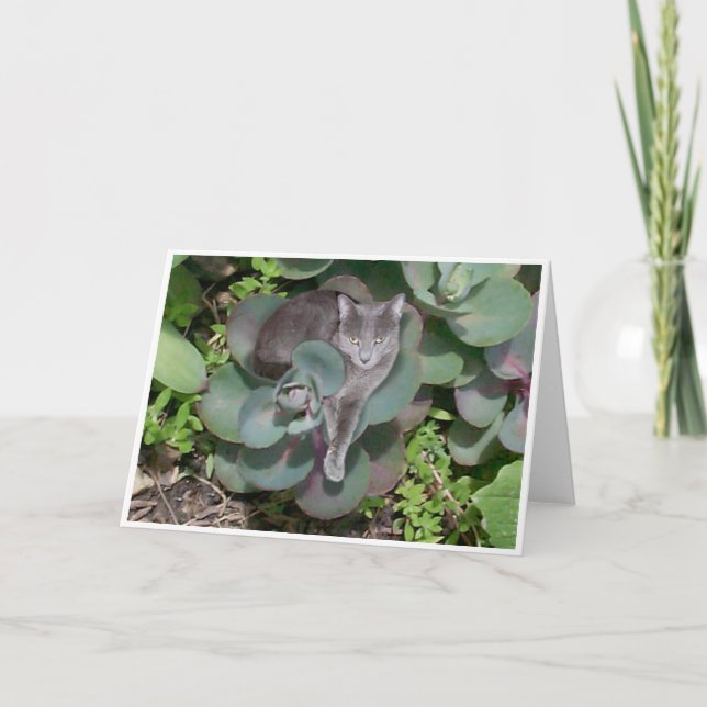 Carte Camouflage (Devant)