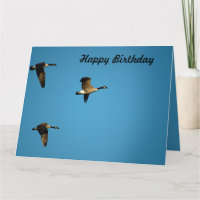 Canadian geese