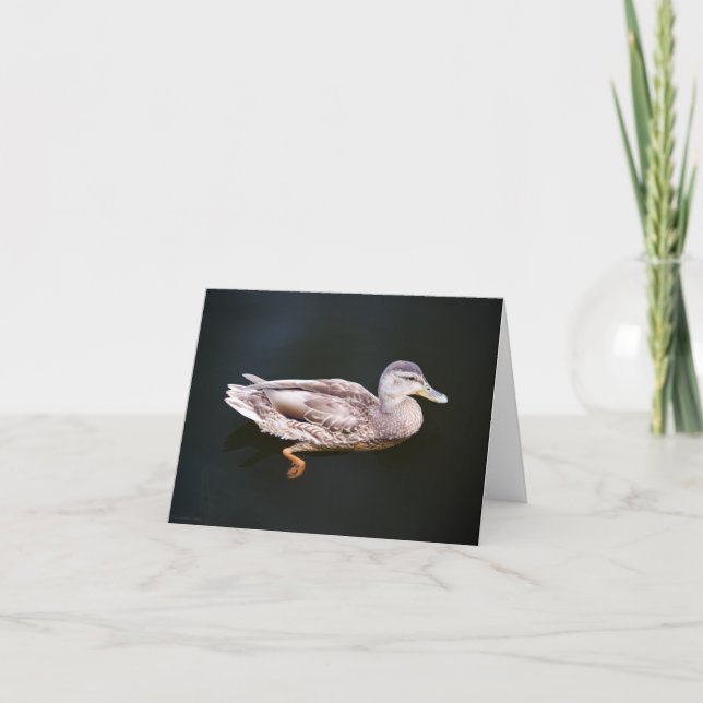 Carte Canard 907b (Devant)