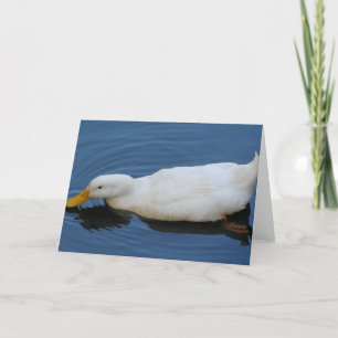 Carte Canard blanc