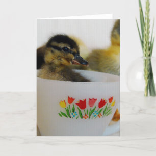 Carte Canard dans une Tea up 2