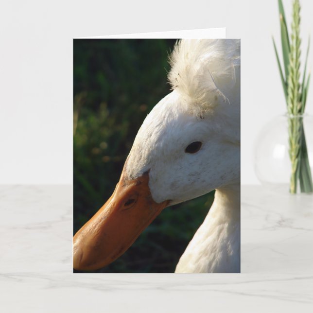 Carte Canard en cage (Devant)