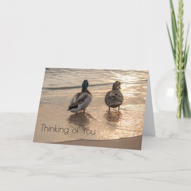 Carte Canards sur la plage (Devant)