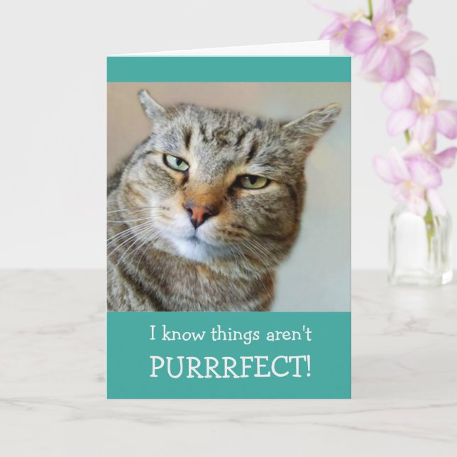 Carte Cancer Encouragement Funny Chat (Orchidée)