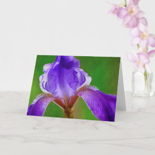 Carte Cancer Hope Et Soutien Iris