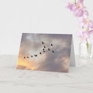 Carte Cancer, maladies graves oiseaux en vol