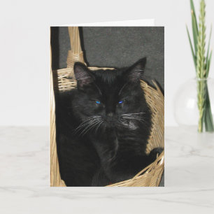 Carte Candid Kittens Greeting Card