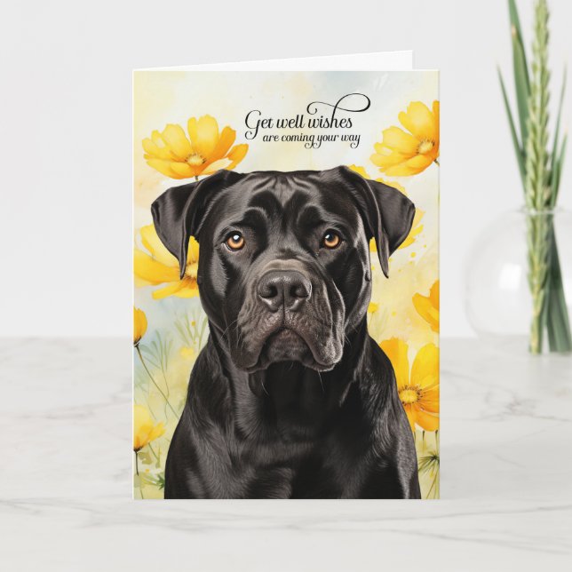 Carte Cane Corso Dog Golden Poppies Get Well (Devant)