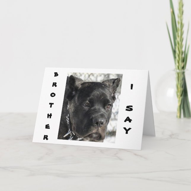 CARTE CANE CORSO VEUT CÉLÉBRER L'ANNIVERSAIRE DU FRÈRE (Devant)