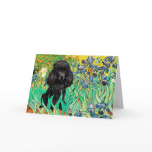 Caniche (noir 1) - Iris